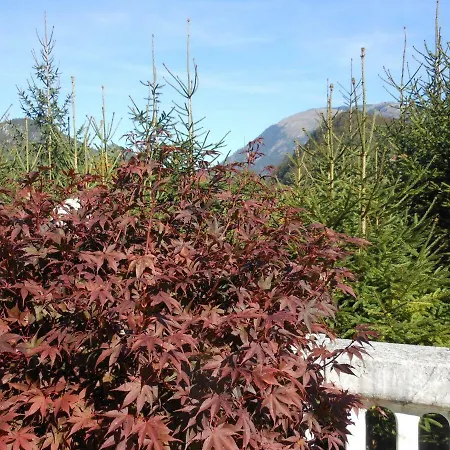Romy Bad Ischl